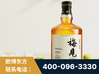 东营-梅见青梅酒